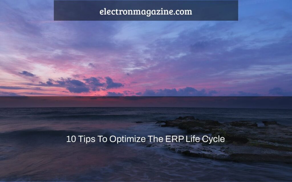 10 Tips To Optimize The ERP Life Cycle