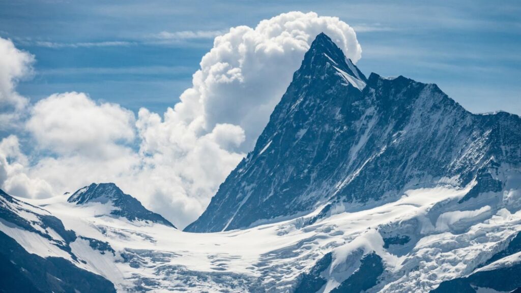 The highest mountain in the Alps