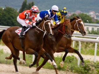 Bet Smarter: 3 Leading Resources for Horse Racing Betting Fans