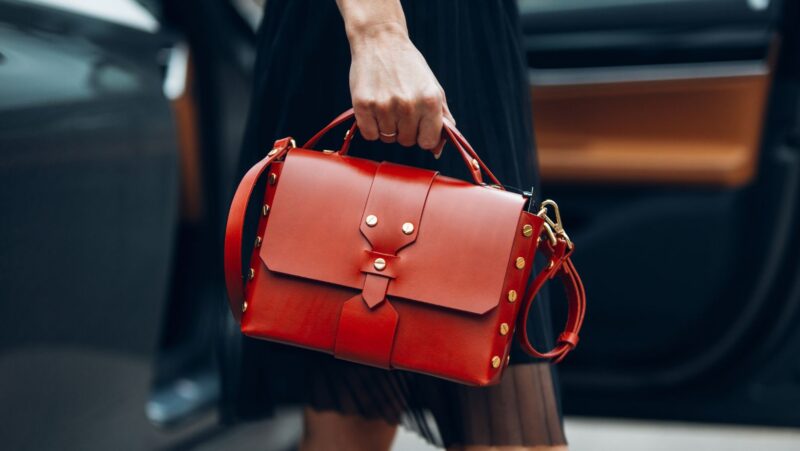 Elisabetta Franchi: A Mold Journey of Fashion and Imagination