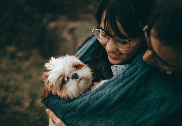 Inside the Smart Tech Keeping Pets Connected to Their Humans