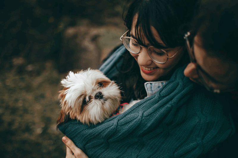 Inside the Smart Tech Keeping Pets Connected to Their Humans