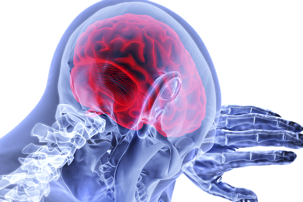 PGES Chemical Prostaglandin E2 (PGE2): Small Lipid with Big Impact