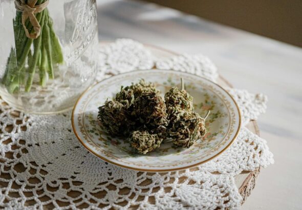 Which Traits Make White Nerds Bulk Hybrid Popular In Stores