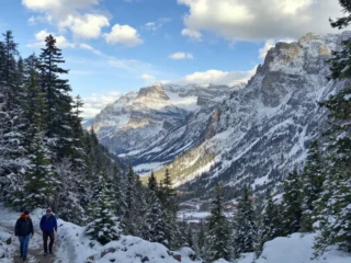 The Rarest Rocket League Items: A Complete Collector’s Guide to the Most Valuable Drops in 2026