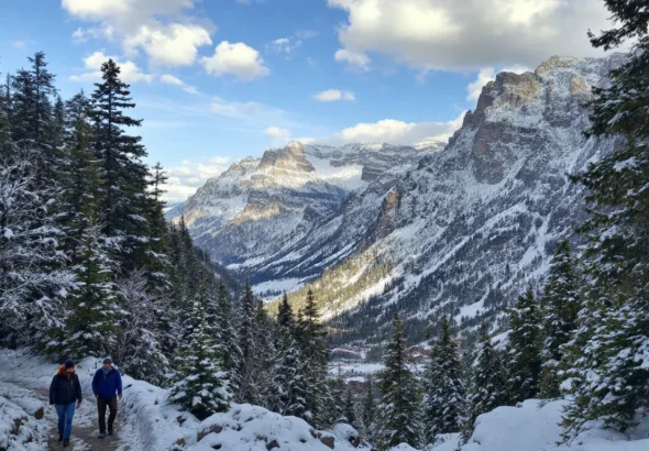 The Rarest Rocket League Items: A Complete Collector’s Guide to the Most Valuable Drops in 2026